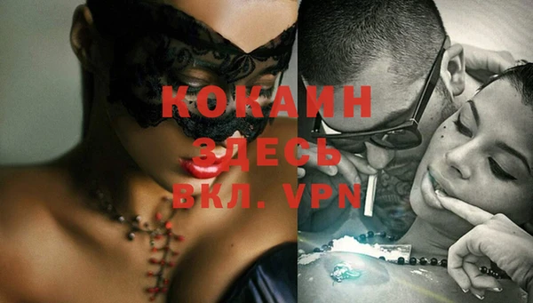 стаф Баксан
