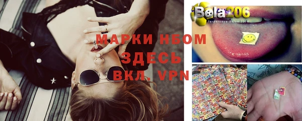 стаф Баксан