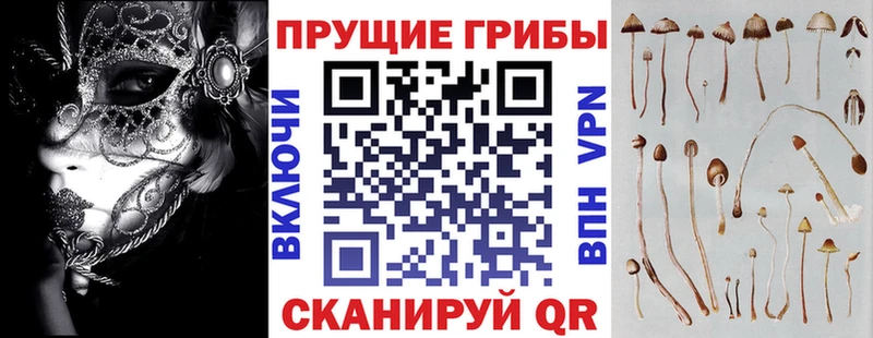 Галлюциногенные грибы Psilocybe  Купить  Донской 